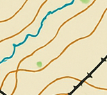 Forest Orienteering Map